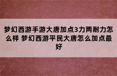 梦幻西游手游大唐加点3力两耐力怎么样 梦幻西游平民大唐怎么加点最好